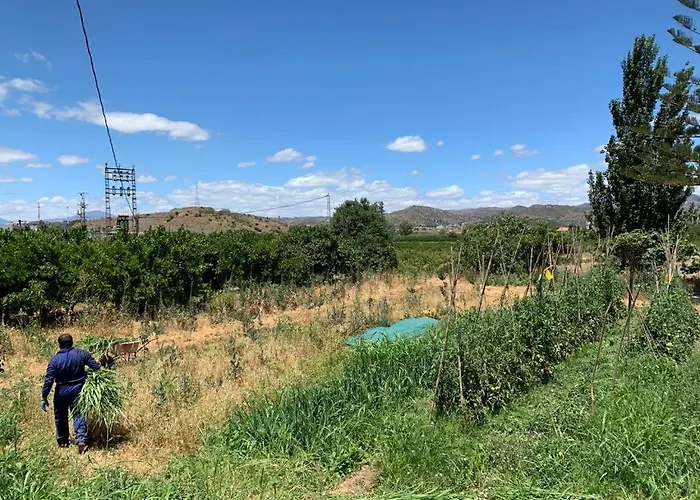 度假居 Complejo Rural Lo Arrabal 马拉加