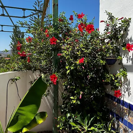Complejo Rural Lo Arrabal Vakantiehuis *